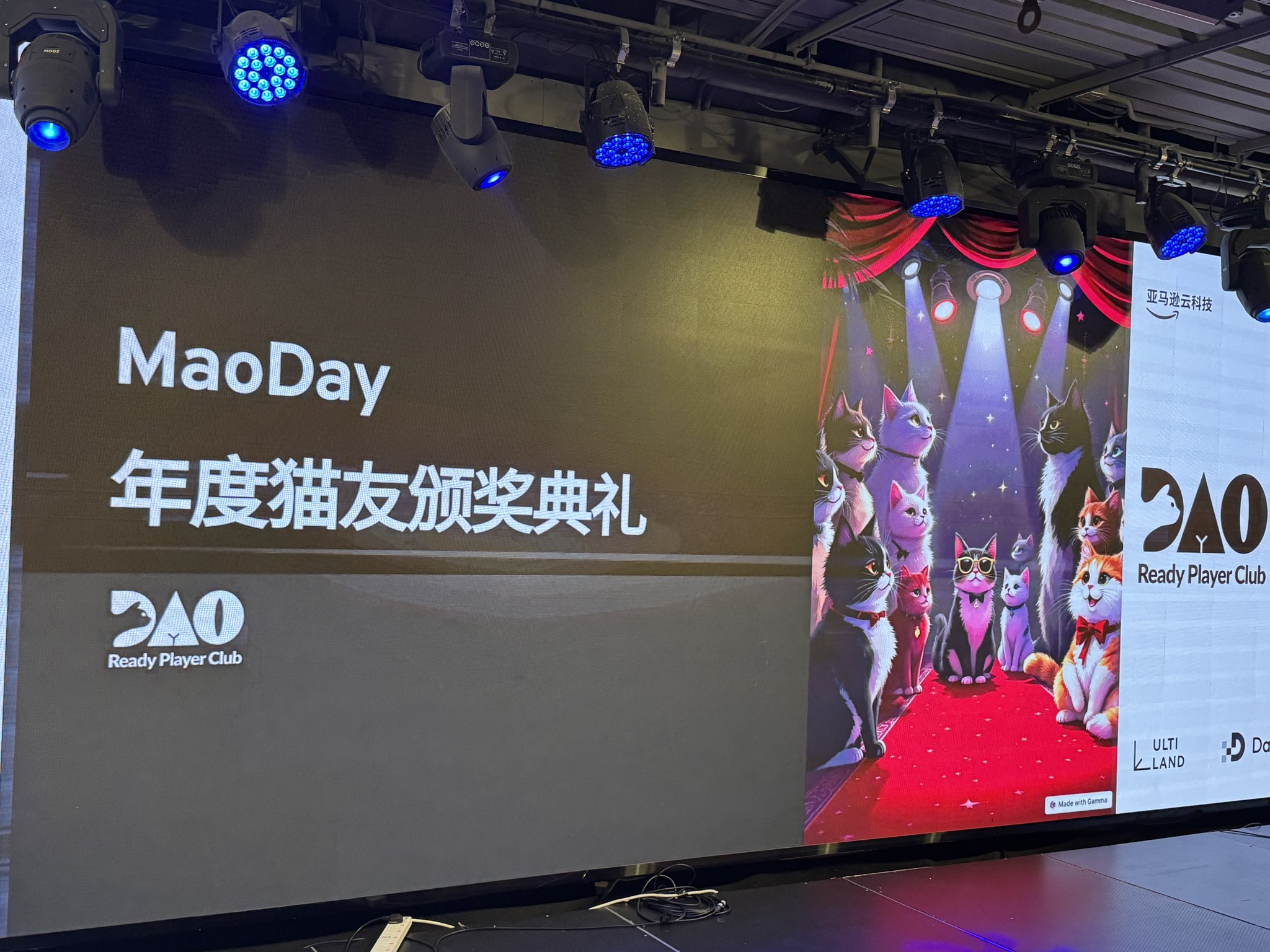 MaoDay 年度猫友颁奖典礼